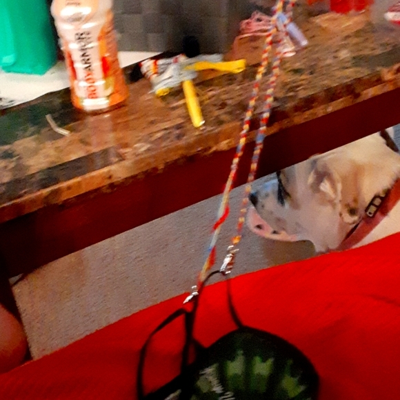 Mask holder